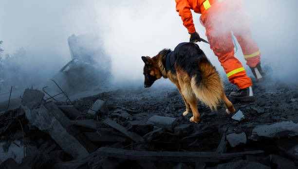 Disaster Recovery Malaysia: Building Resilient Business Continuity